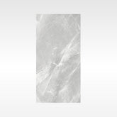 Fg Grey 300x600 Matt